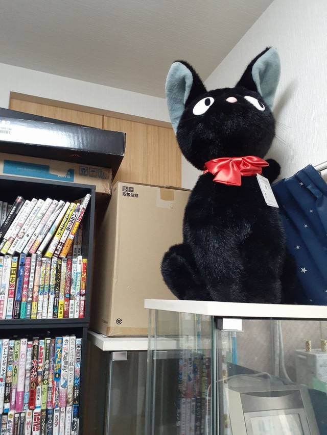 さりげなくジジもいる