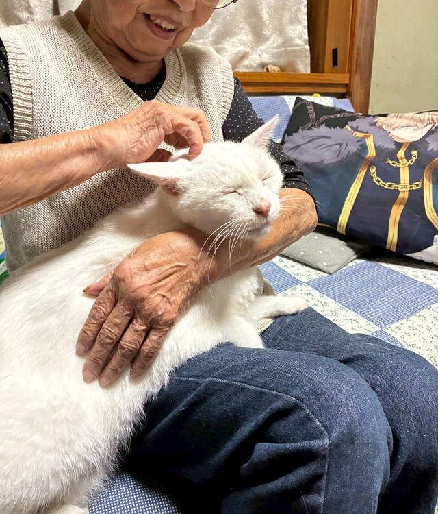 おばあちゃんのお膝が大好き／提供：yukaさん