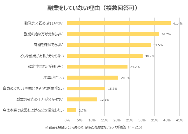 副業をしていない理由（提供画像）