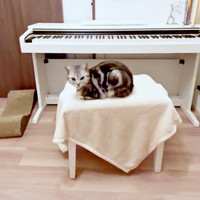 「おやつは？」という声が聞こえてきそう！ 目を覚ましたあんこくん（画像提供：あんこともなか 充電ねこさん）