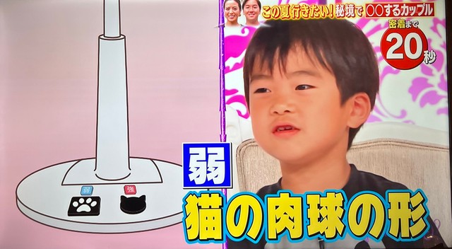 猫の肉球スイッチ（提供：なみそさん）