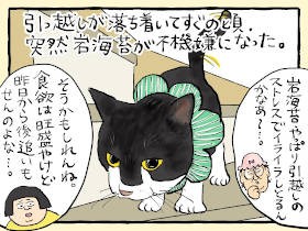 長老猫「岩海苔」にまた災難　イライラは、お尻が大変なことになっている合図だった
