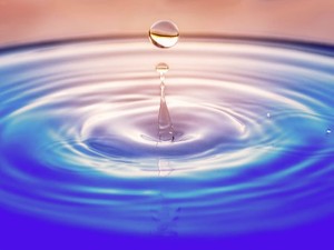 ソーシャルセクターで、「ふつう」になりたい私は変容した