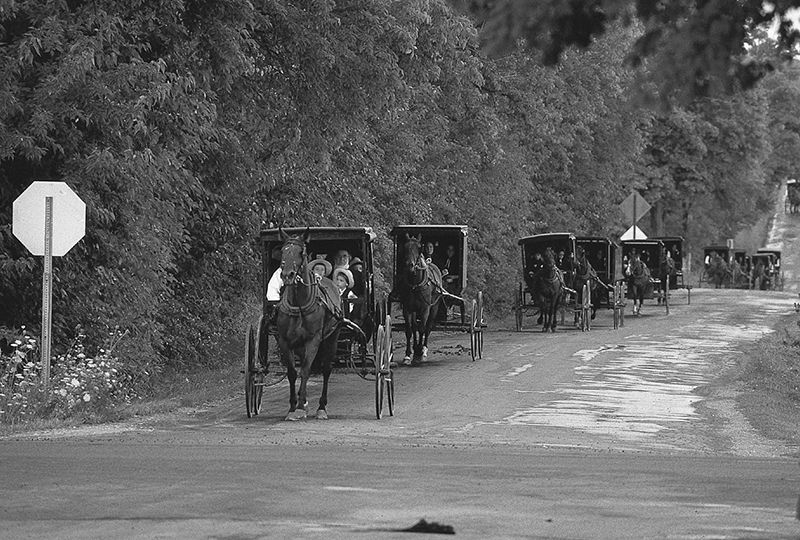 礼拝を終えて家路につくアーミッシュの家族（ニューヨーク州コンワンゴ・ヴァレーの風景）。オールド・オーダー・アーミッシュといえども近代社会から完全に孤立して暮らすことはできないが、彼らは21世紀の北米文化を断固として避けようとする。（本書第1章「宗教改革の遺産」16頁より）　Photo by Jerry Irwin.