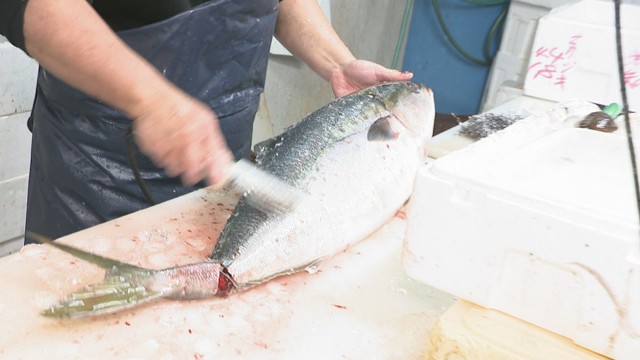 市場を特別開放　新鮮な魚や野菜を販売　香川