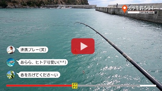 #303ガヤを釣ろう②
