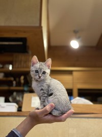 手のひらにすっぽり収まるサイズが愛しい（画像提供／erikaさん）