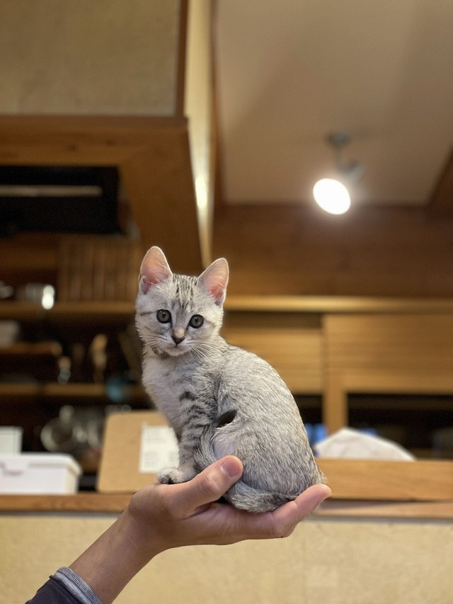 手のひらにすっぽり収まるサイズが愛しい（画像提供／erikaさん）