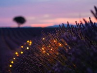 やっぱり「清水」捨てたくない、ずっと「しみチョコ」のままでいたい