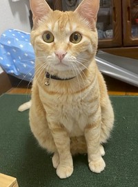 だんだん大きくなっていったシミ