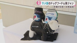 ドッグフードや犬用の革ジャン　サメを有効活用して開発　宮城・気仙沼市の水産会社