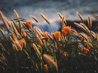 聞くのは転職よりも休職の話ばかり。人間を生かしてくれない社会で