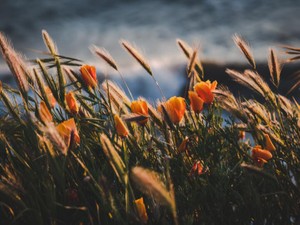 聞くのは転職よりも休職の話ばかり。人間を生かしてくれない社会で