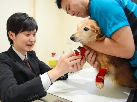 動物向け義肢装具、１万匹以上支えた　先駆者の島田さん