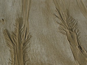 幼い頃からずっと苦手な理系の世界。それでも唯一やり遂げることができたもの