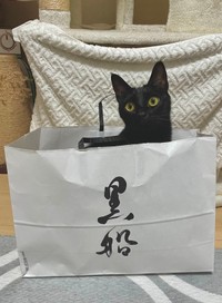 「黒船」にも乗っちゃった！？ノアールちゃん（画像提供：ティグノアさん）