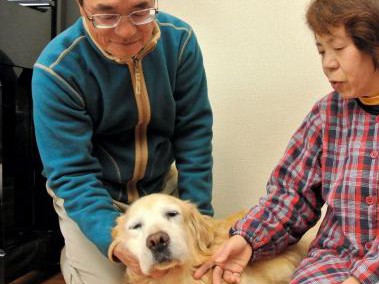 心に傷を負った犬の「不思議な行動」　寄り添った夫婦の思い