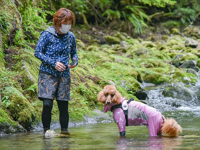 犬仲間とともに、ブレイズと川遊びへ。「供血犬として迎えられた子ですが、できるだけ普通の家庭犬と同じ経験や楽しみを感じてほしくて、休日はあちこち旅行したり、ドッグスポーツも一緒にしています」（前村さん提供）