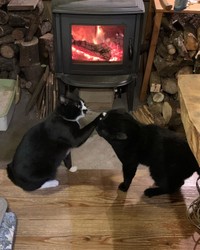 兄貴にはかなわないよ