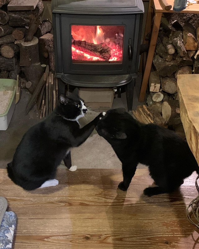 兄貴にはかなわないよ