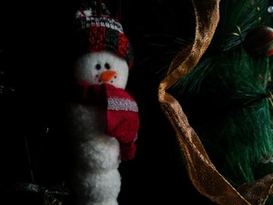 お金も時間もない私のもとへ、素敵で貧乏なサンタがやってくる