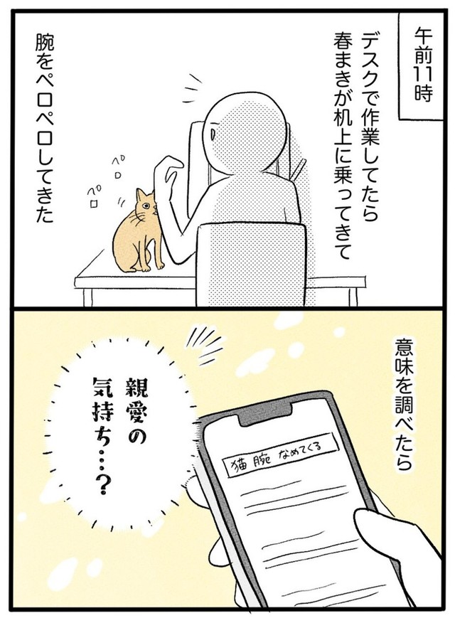 【漫画】『ネコと暮らした9日間』50（イゴカオリさん提供）