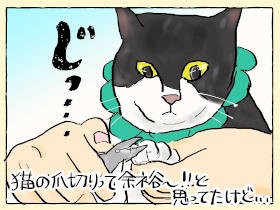 愛猫「ちくわ」、突然の爪切り反抗期に苦戦　万策尽きて「妖怪猫食いオバサン」と化す