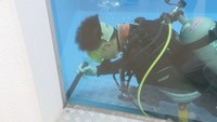 高校生が「潜水実習」でペンギンのプールを掃除　生徒「待ちに待っていた」　香川・宇多津町