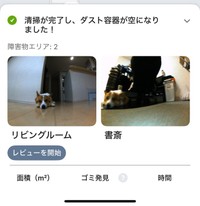 ルンバは書斎に移動したニックくんも検知しました（画像提供：紫月さん）