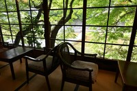 部屋からは高野川の景色が望めます。紅葉の時期も綺麗です