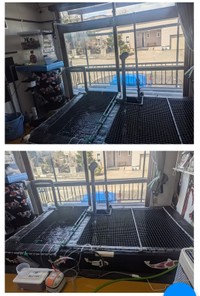 花井組のホームページより