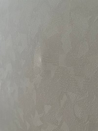 別の部屋の壁にも出現したそう（いもにゃんさん提供）