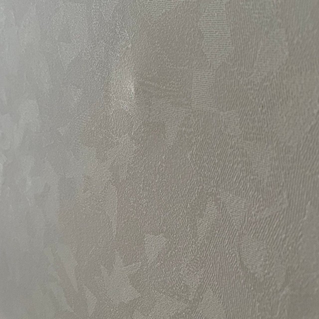 別の部屋の壁にも出現したそう（いもにゃんさん提供）