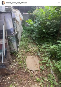 飯島直子さん「実家の汚庭がたいへんなことになってると姉から連絡」（本人の公式インスタグラムから）