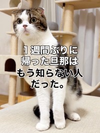 パパのことを思い出せず、驚くこたろうくん（画像提供：こたとつーちゃんと時々おたまさん）