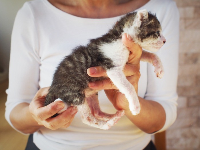 ティッシュでお尻を刺激して排泄を促す