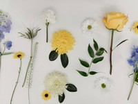 自問自答しながら進む新しい人生。自由って、こんなに怖くて、嬉しい