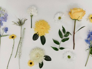 自問自答しながら進む新しい人生。自由って、こんなに怖くて、嬉しい