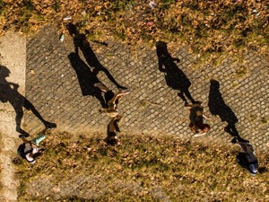 初めて言えた「辞めます」。新しいカードを手に入れた私は少し強い