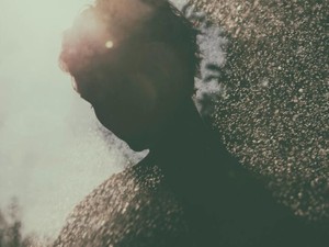 あの全てを思い出す。わたしが好きなのはチョコミントか、その記憶か