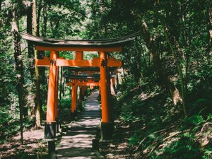 旅行先の絵馬を見たことある？野望を放てるのは、旅だからできること