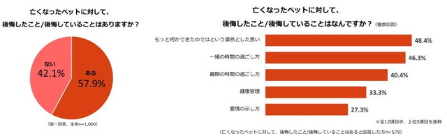 亡くなったペットに対して、後悔したこと（していること）について（提供画像）