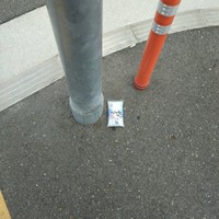 道端に落ちていた「糸こんにゃく」