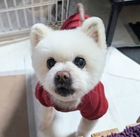 「ずっとのお家」からのお迎えを待っています