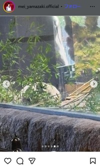 山﨑愛生のインスタグラム＠mei_yamazaki.officialより