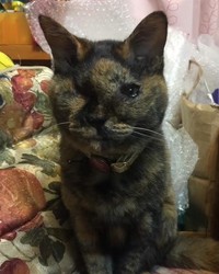 がんの進行によって、顔に変化が