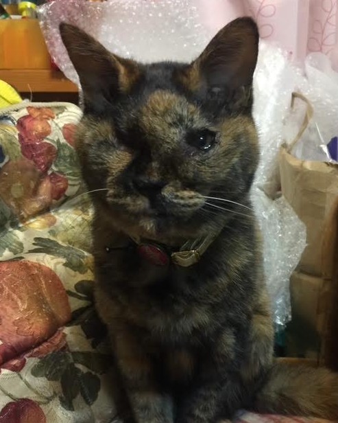 がんの進行によって、顔に変化が