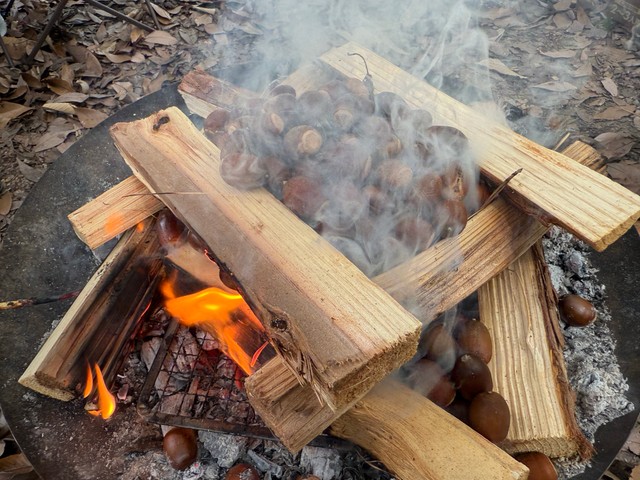 あの「昔ばなし」のエピソードのような事態に（画像提供：えねるさん）