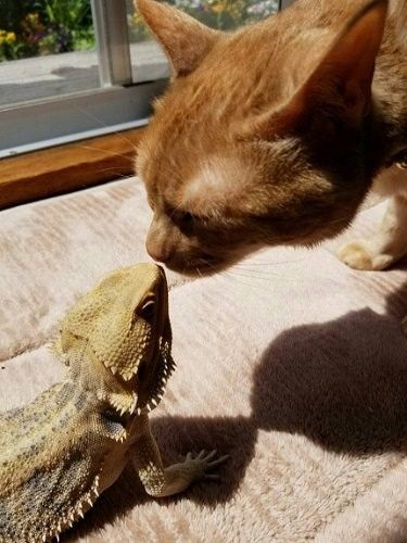 「イズモ、一緒に長生きしようね」