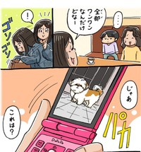もしかしてと思い、亡くなった愛犬の写真を見せると…（シーズーマンガ「あうんのてんぽ」作者さん提供）